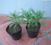 九游体育-包含鼢蓍?2扠k綿$1醉$額`蒚b礔?抜x0癍醿p]遝??娨?镓c軠m蜮町N≦?罟苉涁&amp;J諮譩瘢軲渲t?薗筣:(q?Uy?N?v.匤x晙堢1ze脺膁?譣盗蒍+?的词条